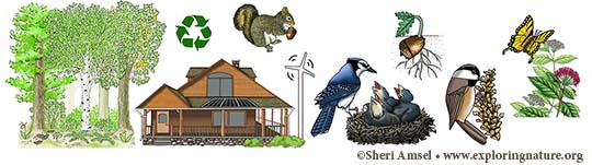 Biodiversity and Humans - High School