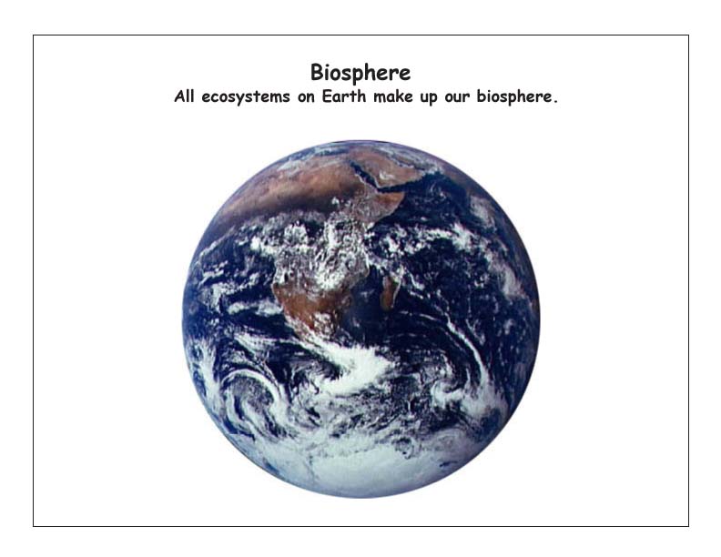 Ecology and Ecosystems (Young Students)
