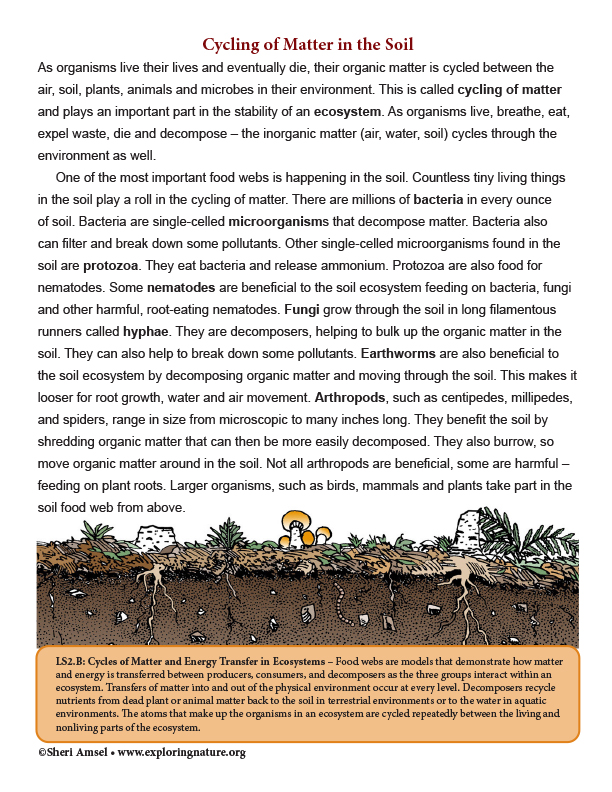 Cycling of Matter in the Soil (6-8 Grade NGSS)