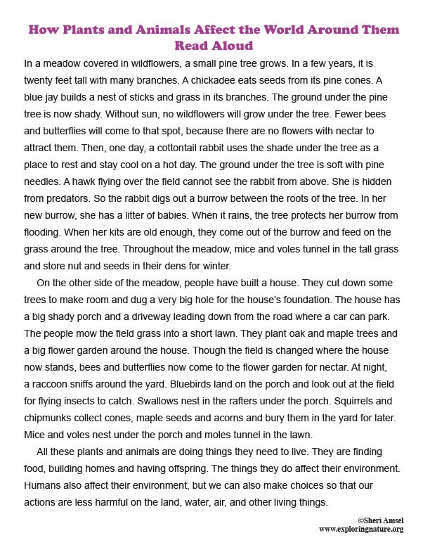 How Plants and Animals Affect the Environment (Kindergarten) - Reading and Poster How Plants and Animals Affect the Environment (Kindergarten) - Reading and Poster