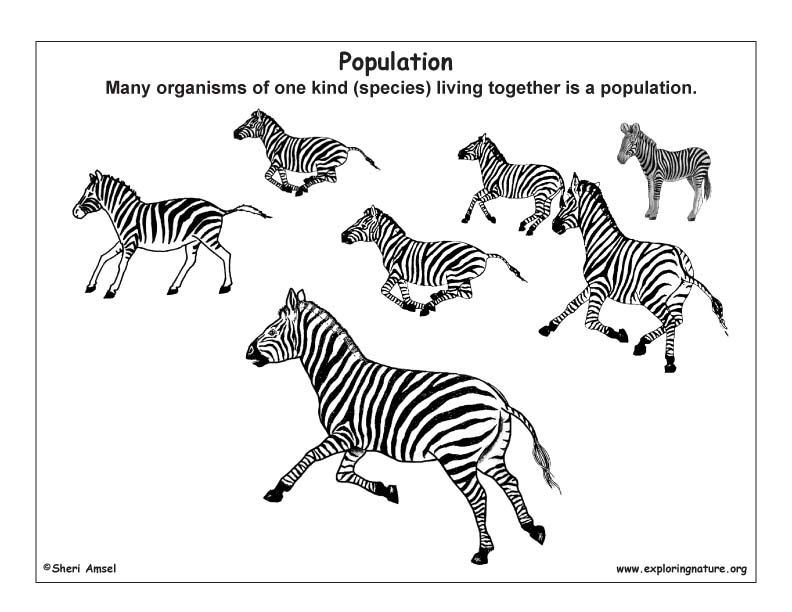 Ecology and Ecosystems (Young Students)