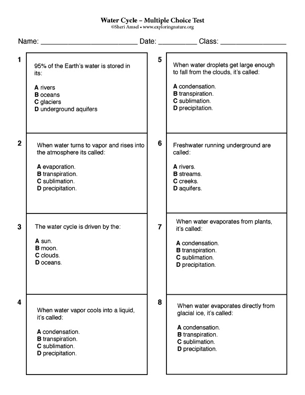 Multiple choice quiz questions