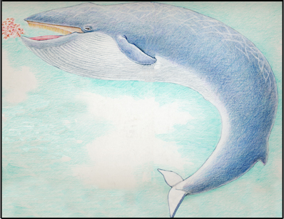 Whale (Blue), blue whale