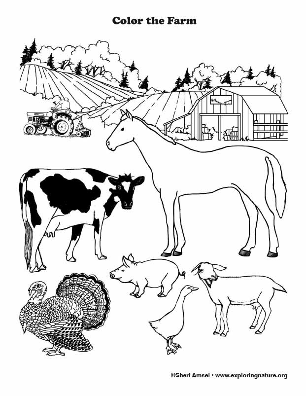 Farm Coloring