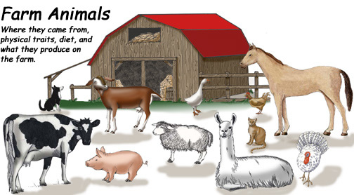 Farm Animals and Pets Farm Animals and Pets