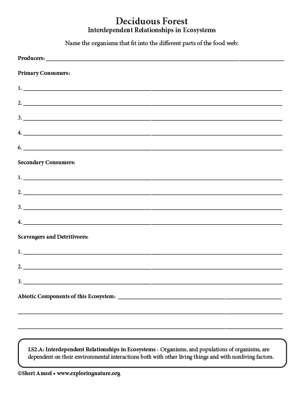 Deciduous Forest - Interdependent Relationships in Ecosystems (6-8 Grade NGSS)