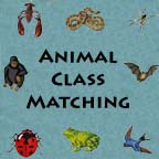 Match the Animals to Their Class Match the Animals to Their Class