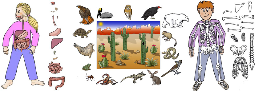 Interactive science games all 