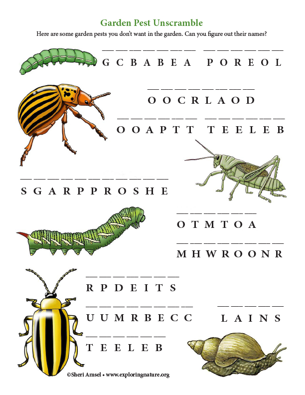 Garden Pest Unscramble (and Color Diagram)