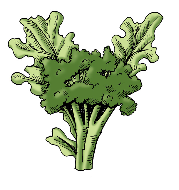 broccoli