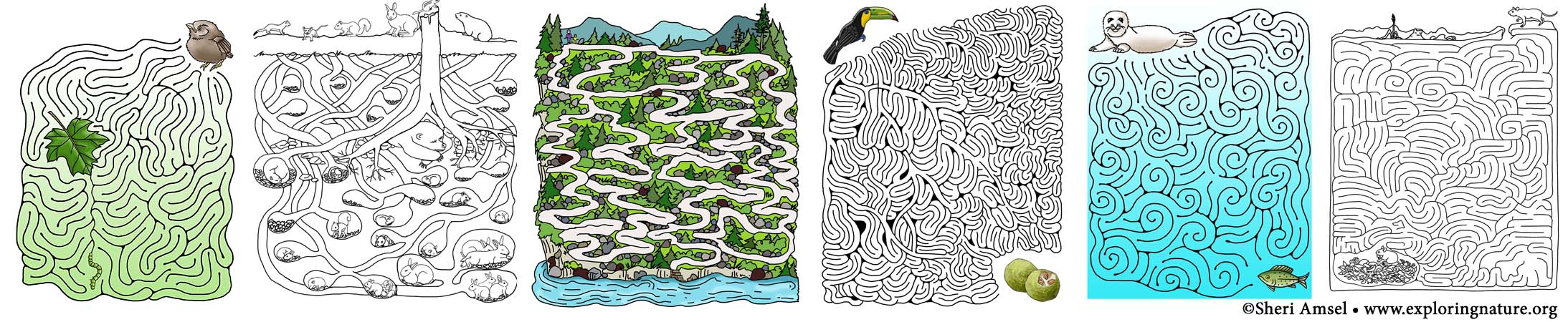 Animal Mazes