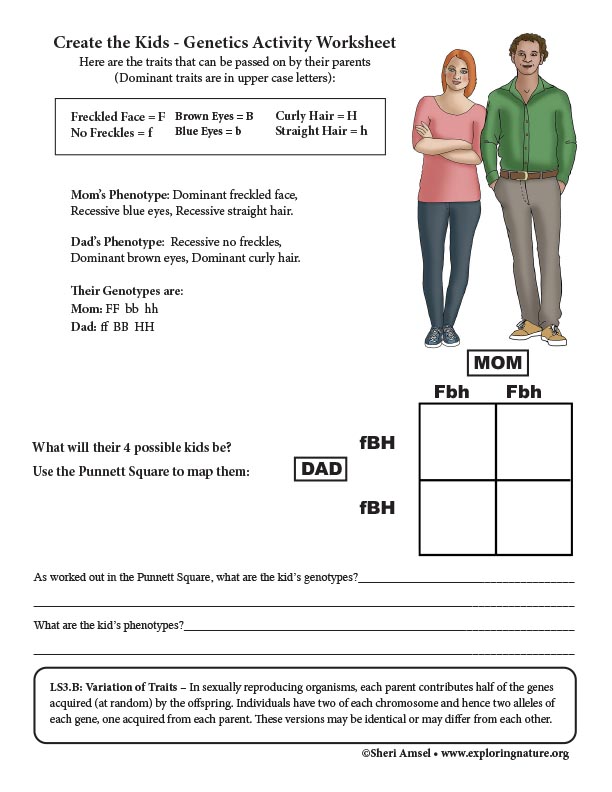Create The Kids Genetics Activity Worksheet 6 8 Grade create-the-kids-genetics-activity-worksheet-6-8-grade