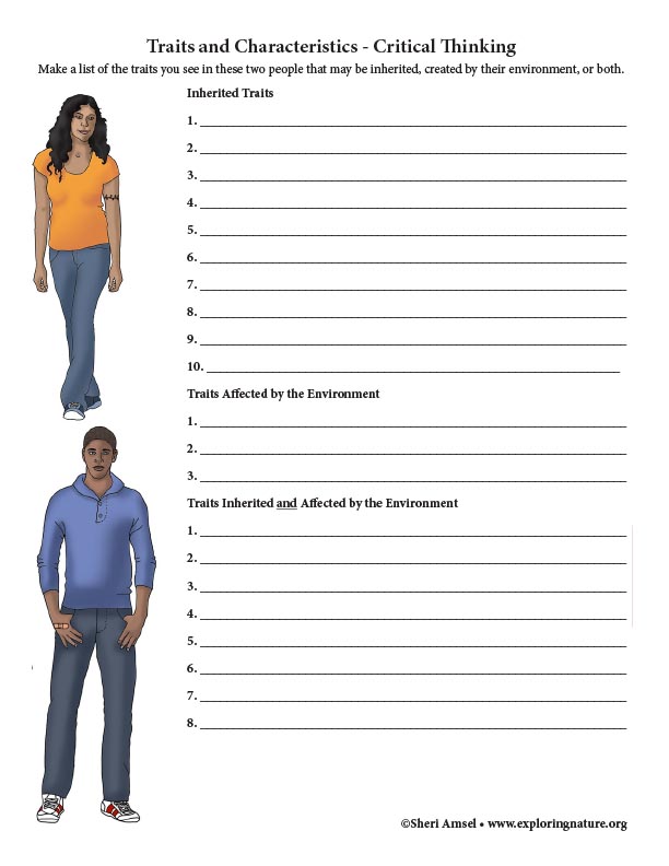 Traits and Characteristics - Critical Thinking (6-8th Grade)