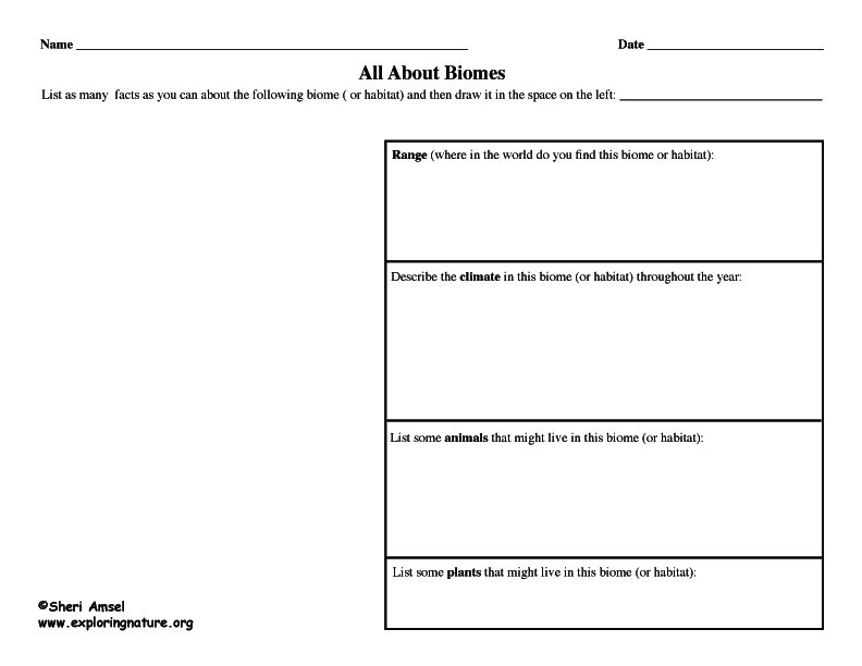Graphic Organizer - Biomes