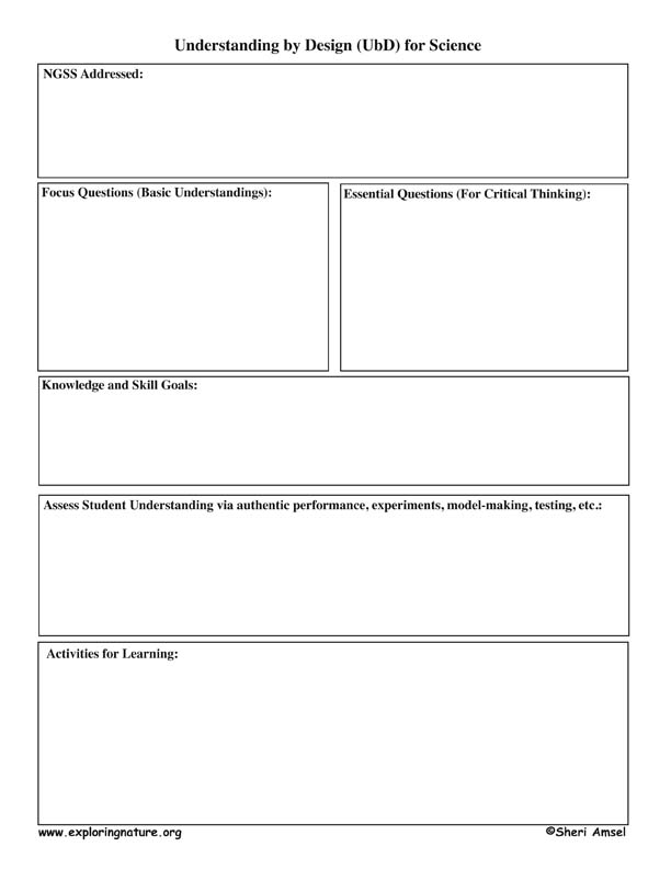 graphic organizer graphic organizer