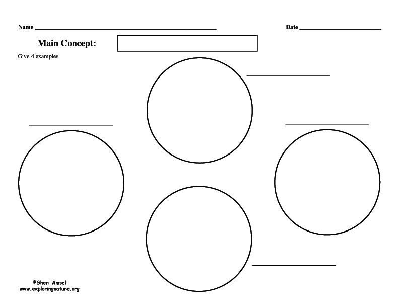 Graphic Organizer