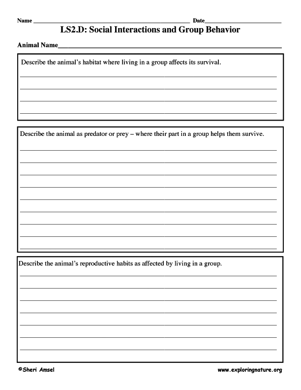 Social Interactions and Group Behavior Graphic Organizer