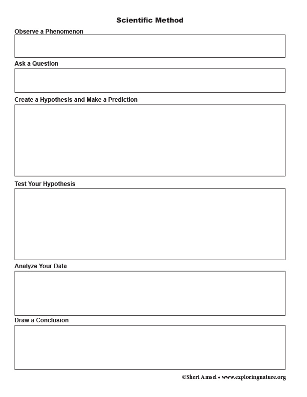 scientific-method-graphic-organizer