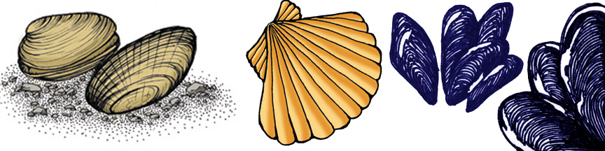 Clams & Mussels