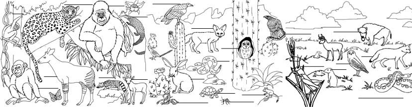 Habitat Labeling Pages