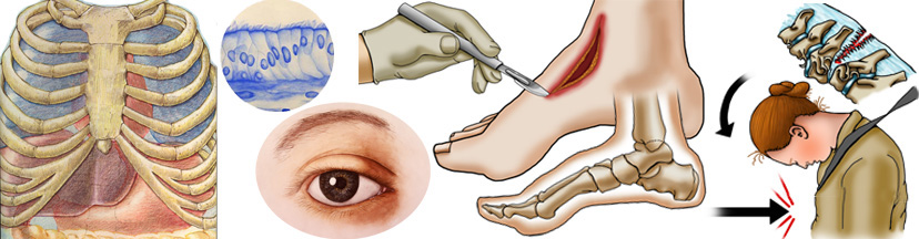 Biomedical Illustration