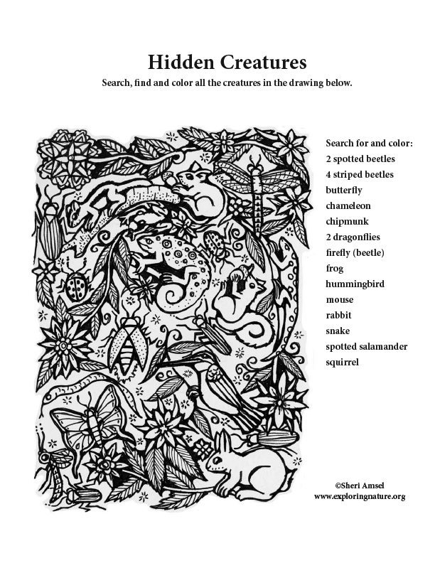 Hidden Critters