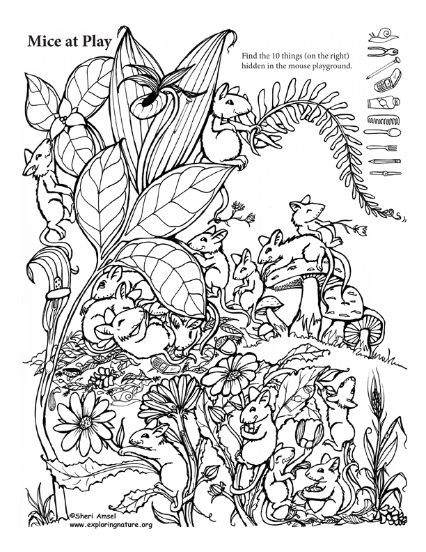 Mice at Play Hidden Picture