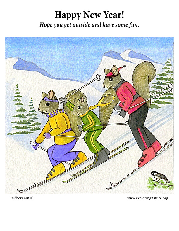 Happy New Year -  Squirrels Skiing