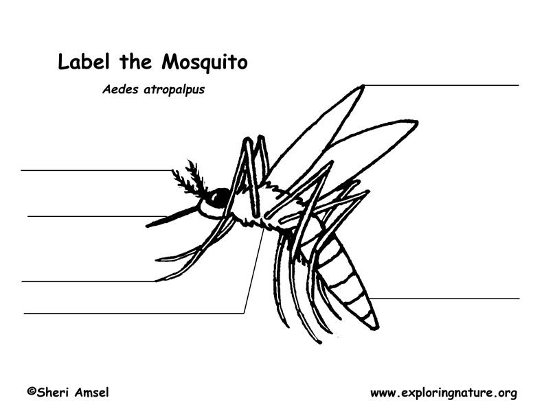 Mosquito Labeling Page