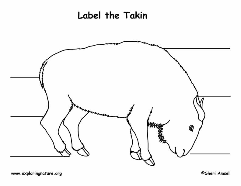 Takin Labeling Page