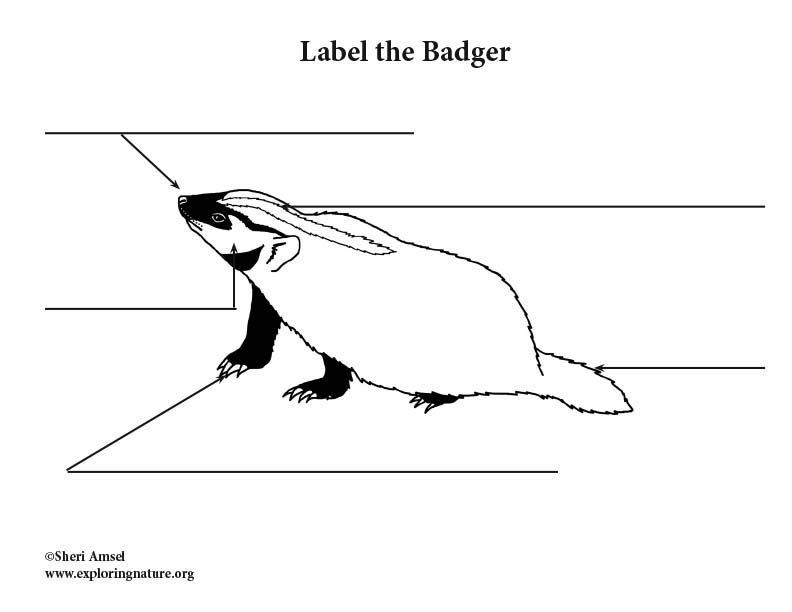Badger Labeling Page