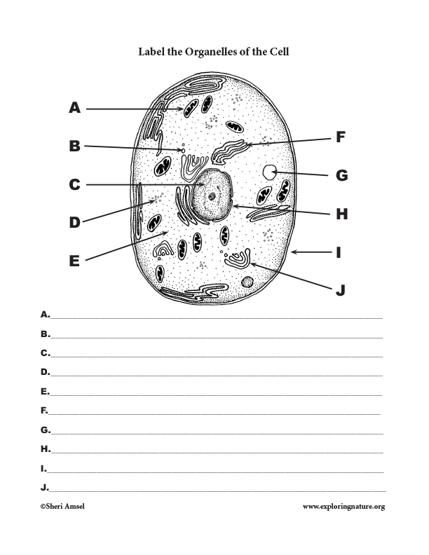 Cell Labeling Page