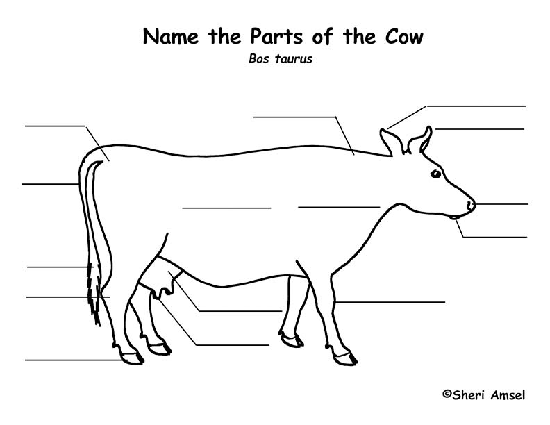 Cow Labeling Page