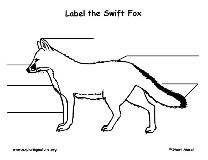 Fox (Swift) Labeling Page