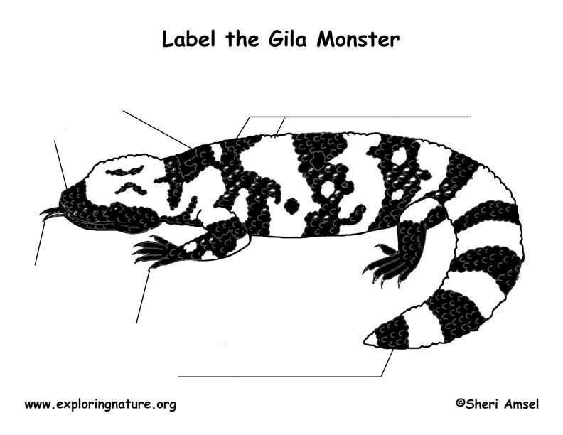 reference format mla Monster Page Labeling Gila reference format mla Monster Page Labeling Gila