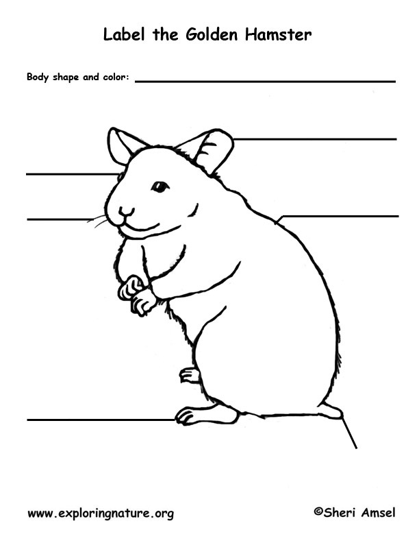 Hamster Labeling Page