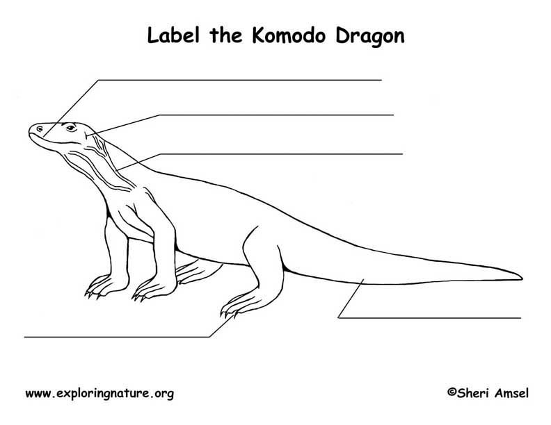 Komodo Dragon Labeling Page