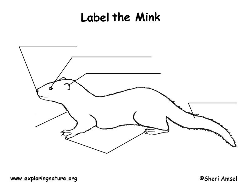 Mink  Labeling Page