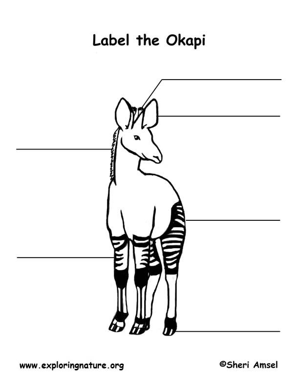 Okapi  Labeling Page