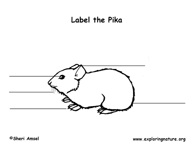 Pika Labeling Page