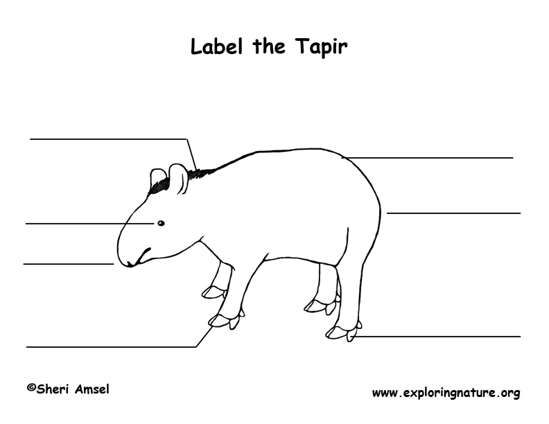 Tapir Labeling Page