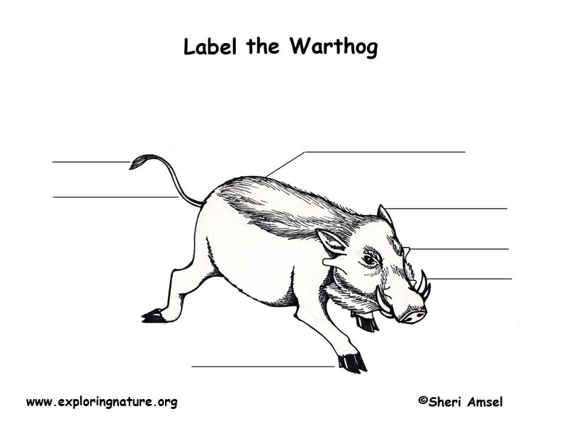 Warthog Labeling Page