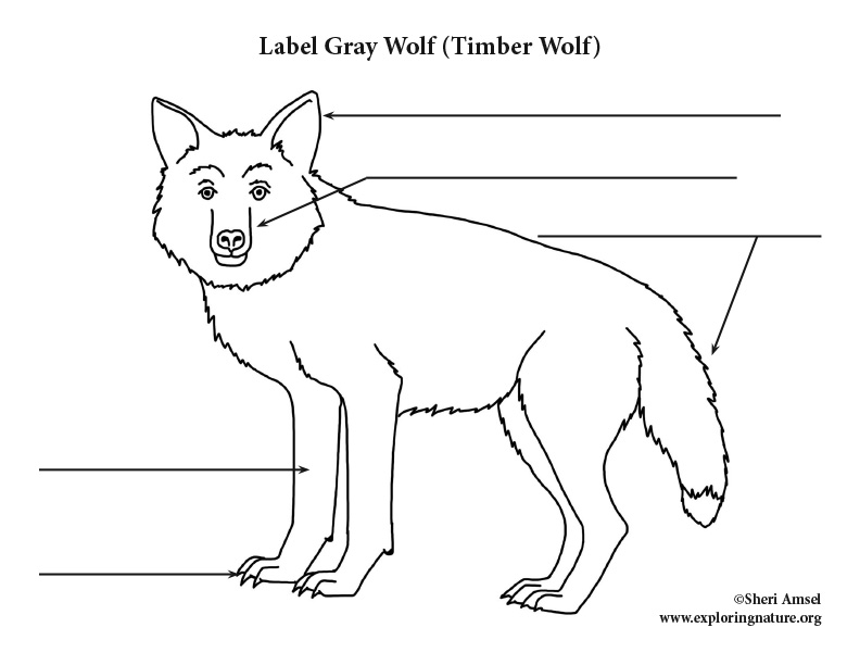 Wolf Labeling Page