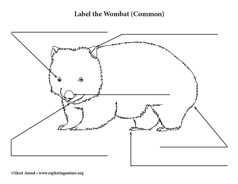 Wombat Labeling Page