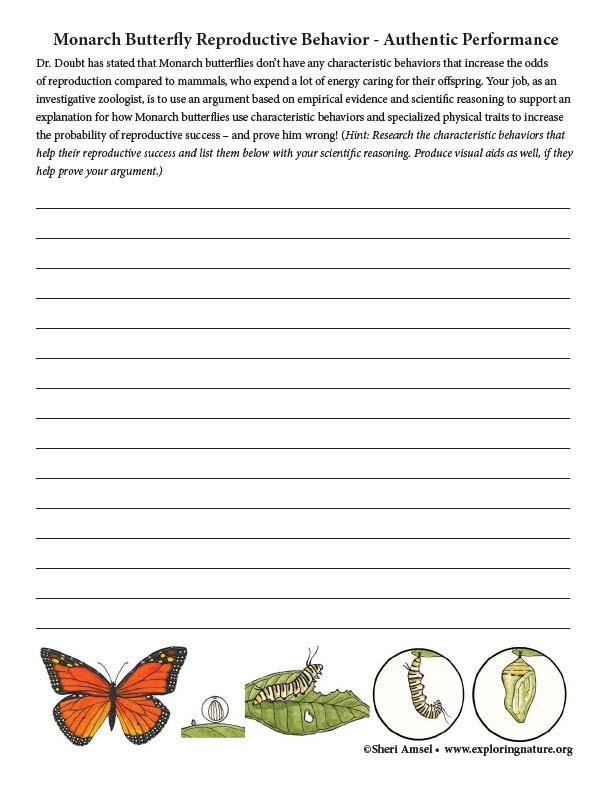 Monarch Butterfly Reproductive Behavior - Authentic Performance 
