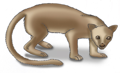 Fossa