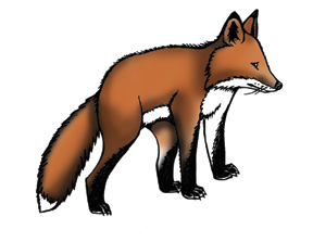Fox (Red)