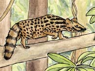 Genet