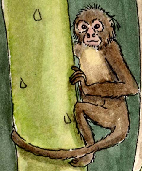how to draw a spider monkey