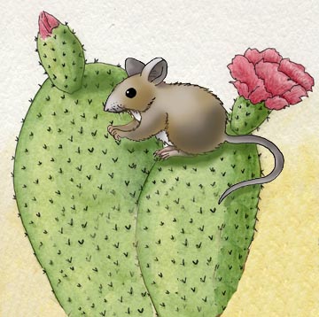 Mouse (Cactus)